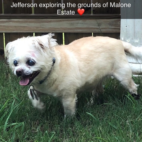 ⭐️Welcome!⭐️ - Picture 6 of 6